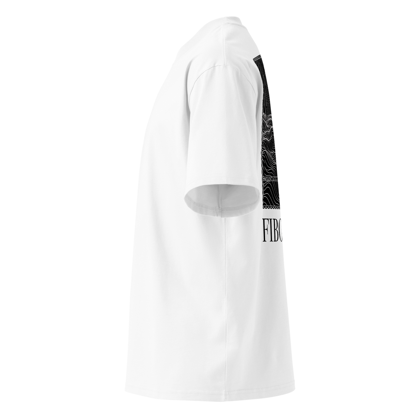 The Resonant Warrior